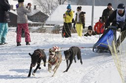 Lenk 2012 SM